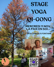 Delphine Chapoulier et Nathalie Héraut, stage Yoga Qi Gong du 11 novembre 2026